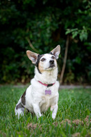 _ZSR5795_24April22