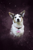 _ZSR5799_24April22-Edit-Edit