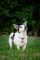 _ZSR5790_24April22