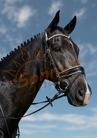 _SR61334_14September19-Edit-2